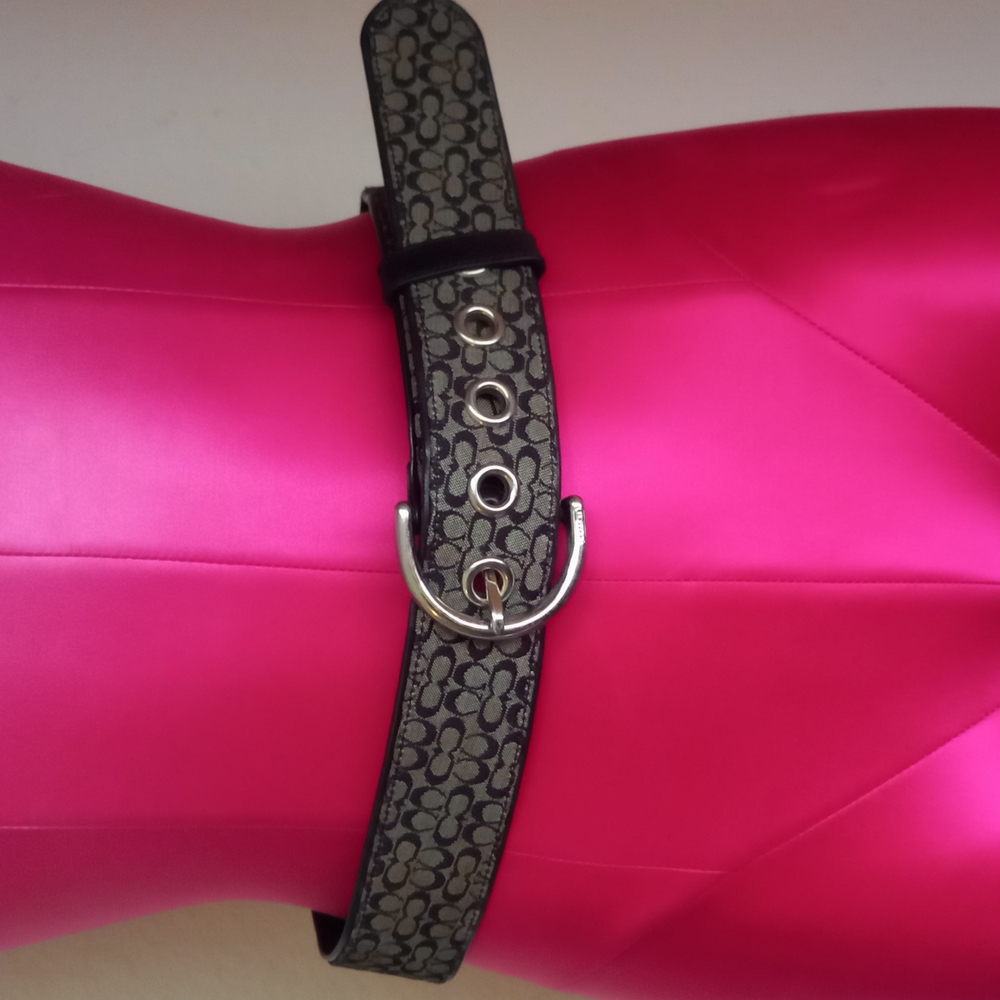 Coach belt